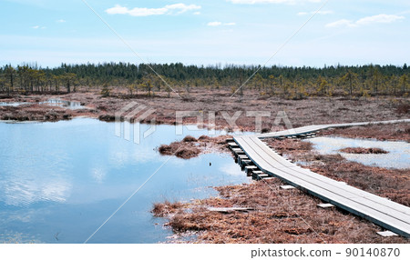 A wooden path in the Soomaa National Park in Estonia among the forest and marshland on a clear day 90140870