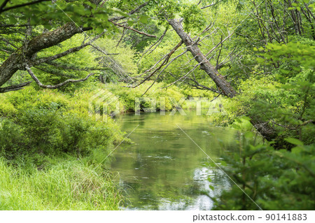 戰場原的夏日風景 90141883
