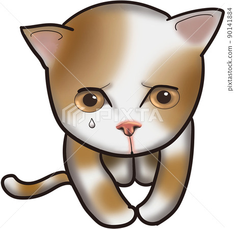 貓坐直，對不起道歉 90141884