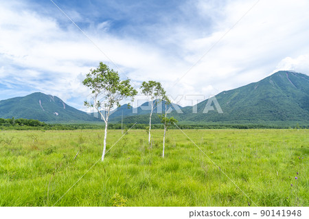戰場原的夏日風景， 90141948