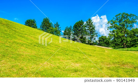 [夏天] 有積雨雲的草甸山 90141949