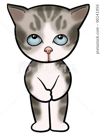 貓，我很抱歉神秘，道歉 90141950