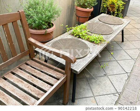 Outdoor bench and green planting Outdoor bench and green planting 90142218