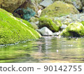 Clear stream and rock moss 90142755