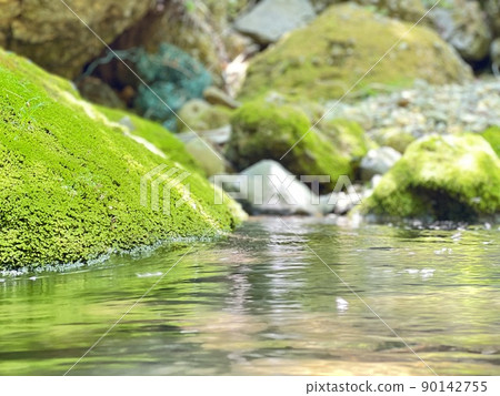 Clear stream and rock moss Clear stream and rock moss 90142755