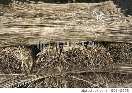 A bunch of 萱 used to re-roof the roof of the main shrine of Suwa Taisha every 6 years (photographed on May 17, 2022) 90142978