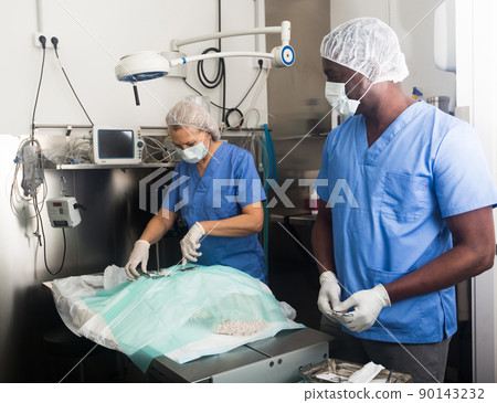 Veterinarian and assistant doing operation for dog 90143232