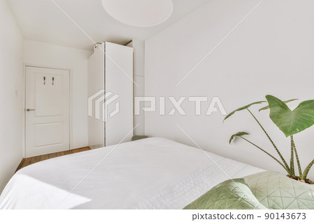 Comfortable bed near the plant and wardrobe placed in small narrow bedroom with white walls and green pillows in modern apartment 90143673