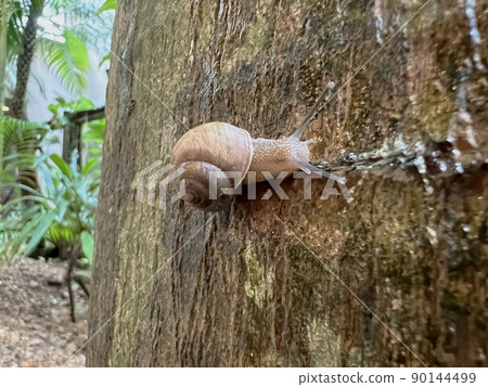 Contact Contact 90144499