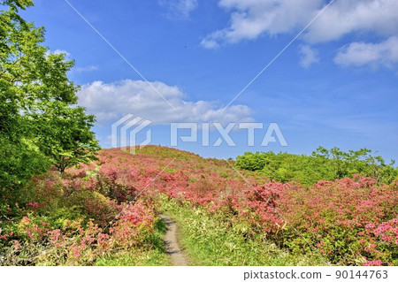 Refreshing Mt. Murone, Iwate Prefecture 90144763