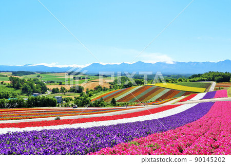 北海道夏日藍天 美麗四季彩之丘 北海道夏日藍天 美麗四季彩之丘 90145202