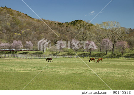 早春牧場 早春牧場 90145558