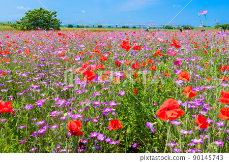 渡槽和花園 90145743