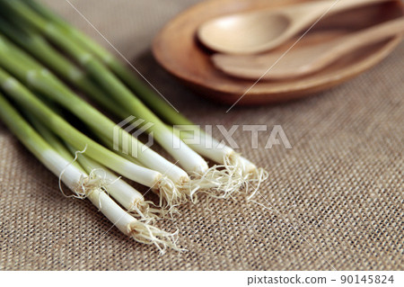 餐桌上的萬能九條大蔥 餐桌上的萬能九條大蔥 90145824