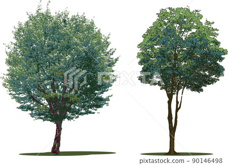 Tree tree set Tree tree set 90146498