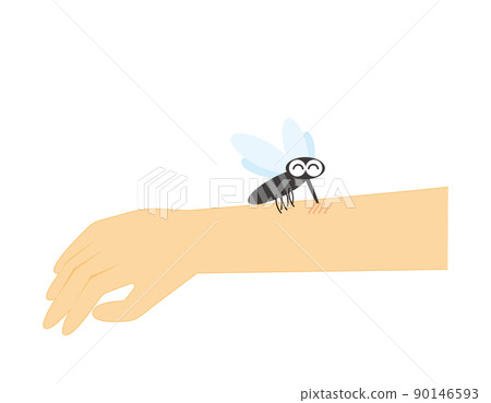 Mosquitoes that sting their arms Yabu mosquitoes Mosquitoes that sting their arms Yabu mosquitoes 90146593