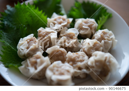 Shumai 90146675