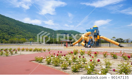 垂海中央公園5號玫瑰園[香川縣高松市垂海] 90147135