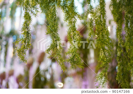 Artificial green plant in blur background 90147166