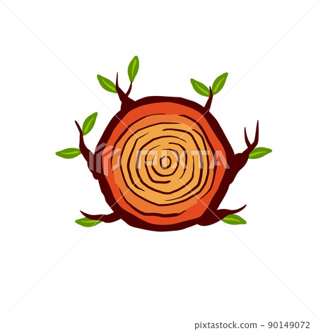 Cut tree trunk. Stump cross section. Concentric circular pattern on wood. Cut tree trunk. Stump cross section. Concentric circular pattern on wood. 90149072