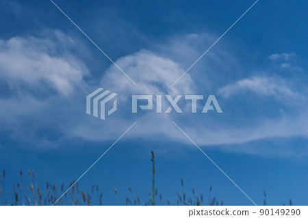 Landscape, sky and clouds: May's blue sky and large white cirrus clouds Landscape, sky and clouds: May's blue sky and large white cirrus clouds 90149290