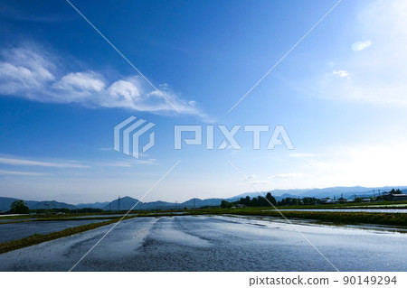 Paddy fields filled with water, the blue sky in May, and a large white curled cirrus cloud. Paddy fields filled with water, the blue sky in May, and a large white curled cirrus cloud. 90149294