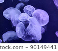 漂浮的水母 90149441