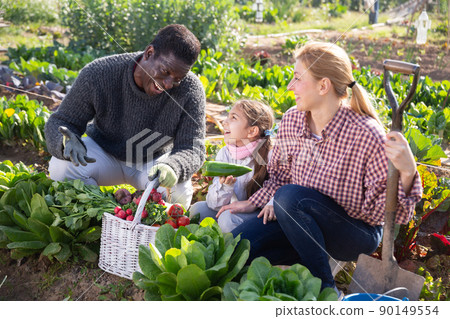 couple of gardeners with daughter holding harvest of fresh vegetables 90149554