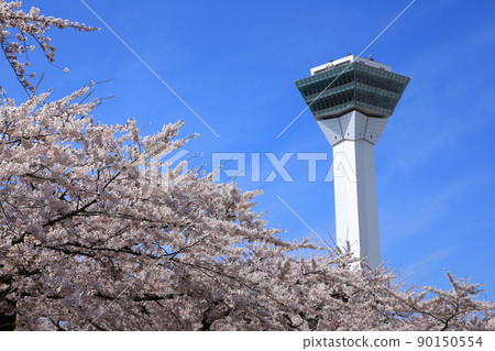 五棱郭公園的五棱郭塔和櫻花 五棱郭公園的五棱郭塔和櫻花 90150554