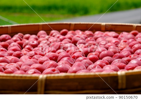 梅花電飯煲生魚片 梅花電飯煲生魚片 90150670