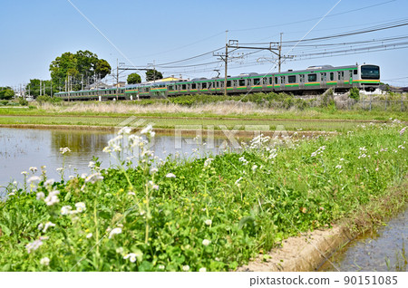 JR東日本：宇都宮線E231系列 90151085