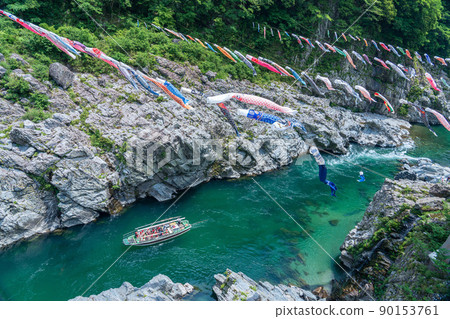 德島縣三好市的大步危峽谷 90153761