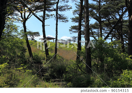蝦野高原兩湖全景展望台[宮崎縣蝦野市] 90154315