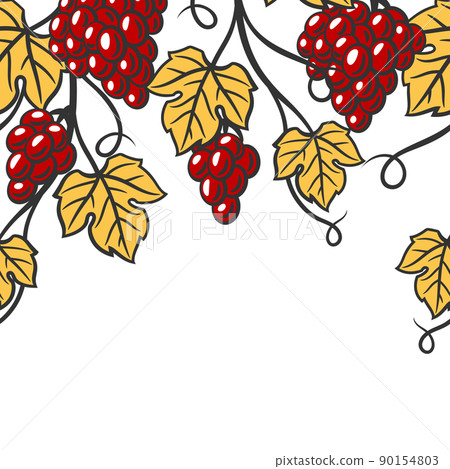Seamless pattern of vine with leaves and bunches of grapes. Winery image for restaurants and bars. 90154803