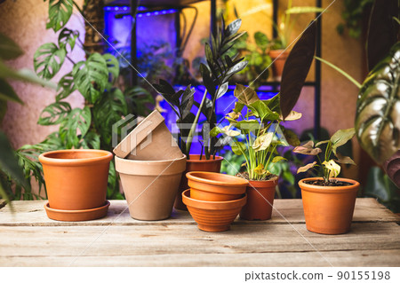 Ceramic terra cotta plant pots on the wooden table 90155198