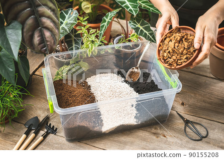 Adding Coco husk chips to the aroid soil mix 90155208
