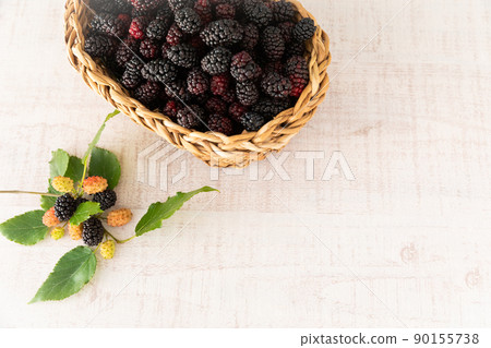 Superfoods 新鮮採摘的桑椹(桑白皮) Superfoods 新鮮採摘的桑椹(桑白皮) 90155738