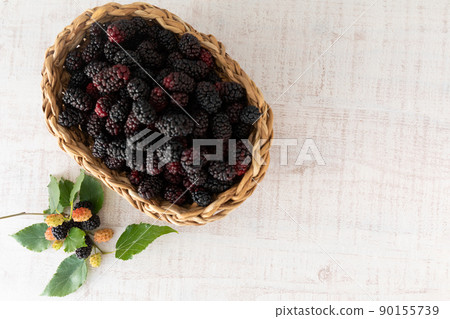 Superfoods 新鮮採摘的桑椹(桑白皮) Superfoods 新鮮採摘的桑椹(桑白皮) 90155739