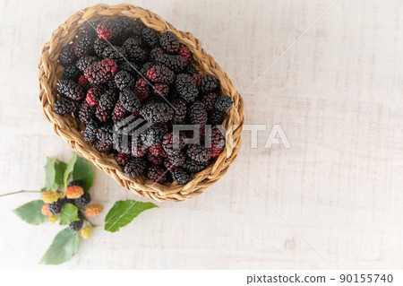 Superfoods Freshly picked mulberry (morus alba) Superfoods Freshly picked mulberry (morus alba) 90155740