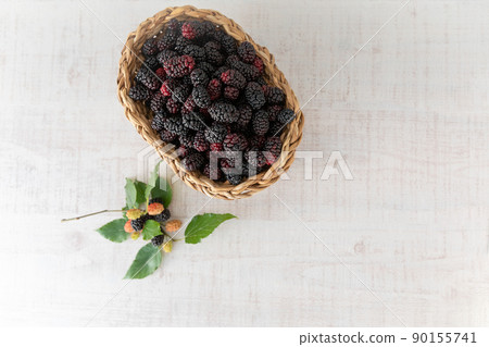 Superfoods 新鮮採摘的桑椹（桑白皮） 90155741