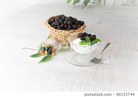 Superfoods 新鮮採摘的桑椹(桑白皮) Superfoods 新鮮採摘的桑椹(桑白皮) 90155744