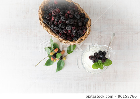 Superfoods 新鮮採摘的桑椹（桑白皮） 90155760