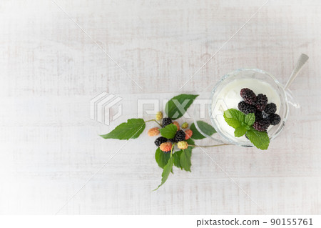 Mulberry (morus alba) Mulberry (morus alba) 90155761