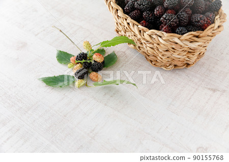 桑椹(桑白皮) 桑椹(桑白皮) 90155768