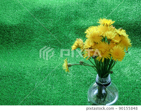 Up of a bouquet of flatweed (dandelion) in a PET bottle on artificial turf 90155848