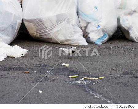 Garbage dump 90155866