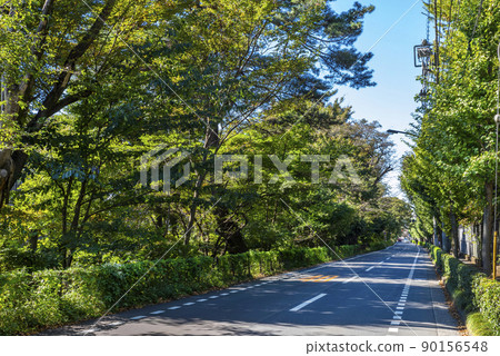 武藏野市-三鷹市“風之長廊”林蔭道 武藏野市-三鷹市“風之長廊”林蔭道 90156548