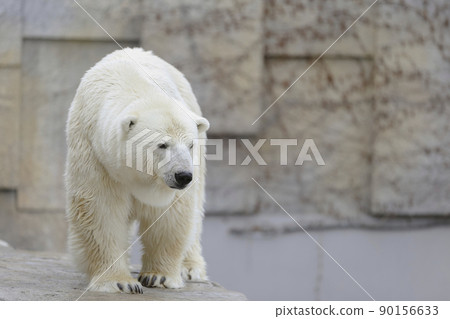 白色的天空 90156633