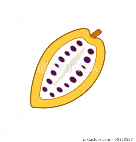 Cross section of cocoa fruit (cocoa pod, cocoa pulp, cocoa beans) Cross section of cocoa fruit (cocoa pod, cocoa pulp, cocoa beans) 90158597