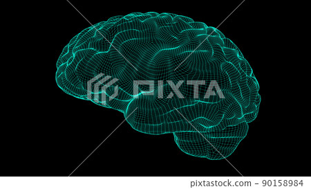 Wireframe brain 3D - Stock Illustration [90158984] - PIXTA